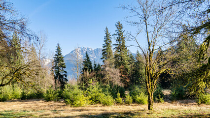 Exploring the serene marshlands and wildlife in Widgeon Marsh regional Park in coquitlam BC