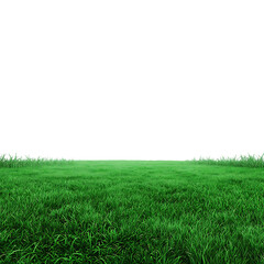 Obraz premium Vast green meadow under clear sky isolated on transparent background