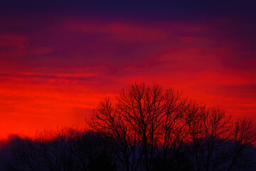 bright sunset with silhouettes of trees against sky