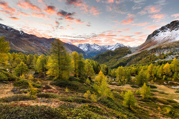 Blick Vom Bernina Pass Ins