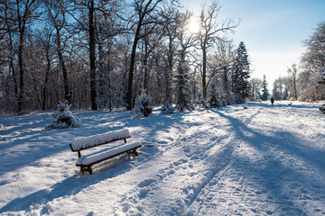 A snow-covered park bench on a clear winter day