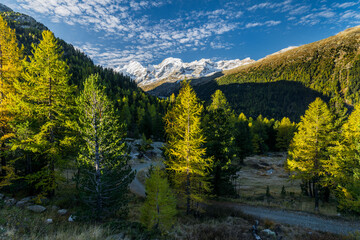 Blick Ins Morteratschtal Piz Bernina