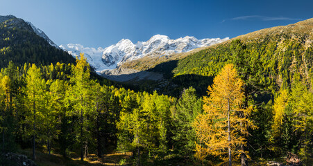 Piz Bernina Morteratschtal Graubnden Schweiz