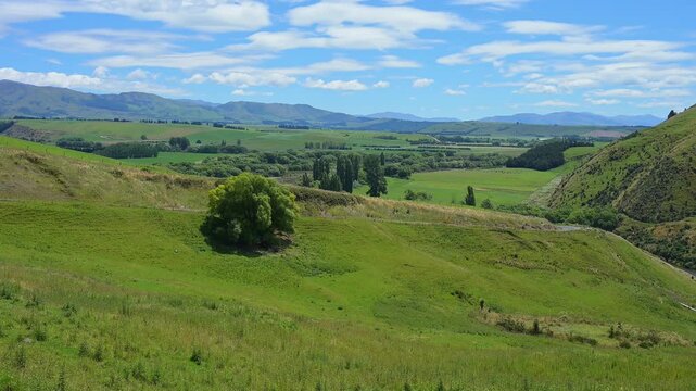 Gr&uuml;ne H&uuml;gel unter blauem Himmel mit vereinzelten Wolken, l&auml;ndliche und friedliche Atmosph&auml;re, Canterbury, S&uuml;dinsel, Neuseeland, Ozeanien