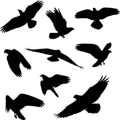 Obraz premium Create on Flying birds silhouettes on white background. Vector illustration. isolated bird flying. tattoo and wallpaper background design.