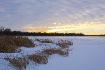 Fototapeta premium A winter sunset in Minnesota in the background of a frozen lake. Beauty in nature design element with copy space.