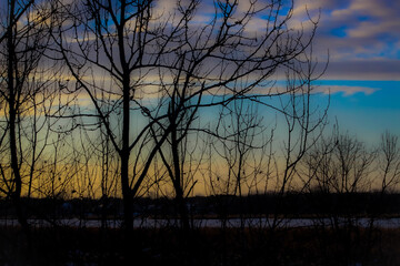 A Winter Sunset Tree Silhouette of Bare Branches with Blue and Golden Sky above a Frozen Pond. Nature Landscape or Background. Upper Midwest USA