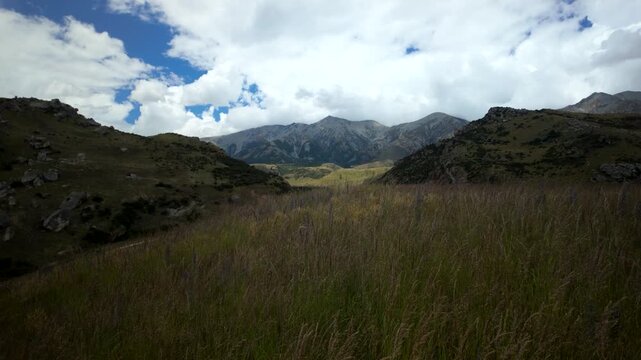 Mountain Valley View Through Tall Grass