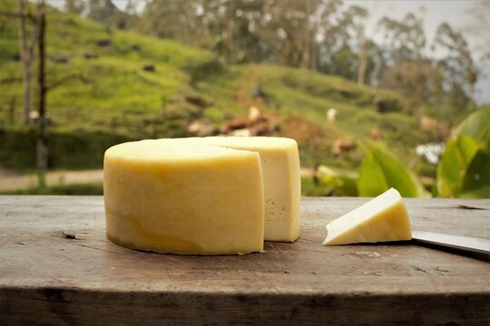 Queijo artesanal