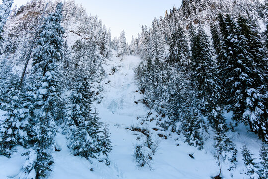 Frozen 'Horses Waterfall' or in Romanian "Cascada Cailor". Amazing view. The waterfall is surrounded by fir trees. Biggest waterfall in Romania.