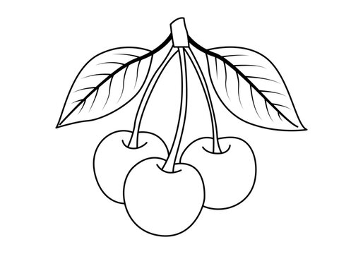 Icono de tres cerezas frescas con hojas y tallos en estilo lineal