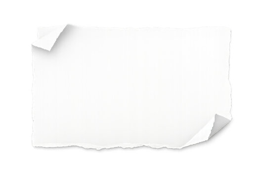 Blank white paper sheet with torn edges and curled corners, providing copy space on transparent background