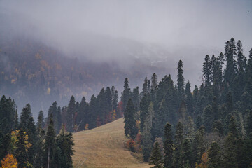 Autumn mountain landscape in fog