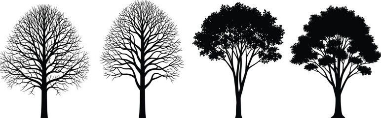 Fototapeta premium Tree silhouette set with leafless and leafy types, black vector nature collection isolated on white background