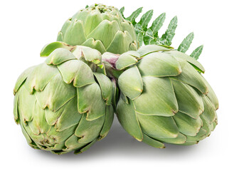 Obraz premium French artichokes with green leaf isolated on white background. File contains clipping paths.