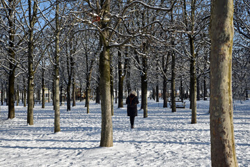 Fl&acirc;ner&nbsp;par&nbsp;temps de neige au Jardin des Tuileries en hiver &agrave; Paris