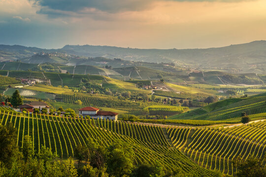 Sunset over Langhe Vineyards near Grinzane Cavour, Italy
