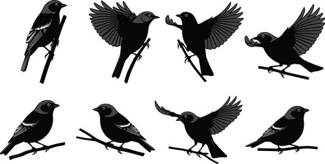 Naklejka premium Bird silhouette set with perched and flying poses on branches, black wildlife songbird vector illustration collection