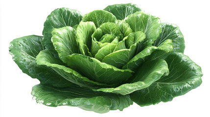 Obraz premium Realistic Style Fresh Cabbage Photography