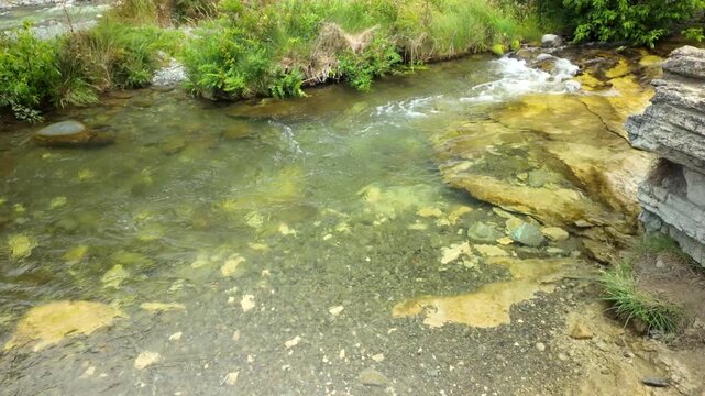 Clear Shallow Creek With Stones And Green Banks