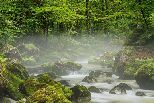 Torrener Bach, Bluntautal, Salzburg, &Ouml;sterreich