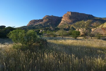 Fototapeta premium Landschaft im Erongo Gebirge im Abendlicht (Namibia)