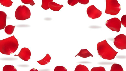 Red rose petals scattered on isolated white background for valentines day or romantic occasion