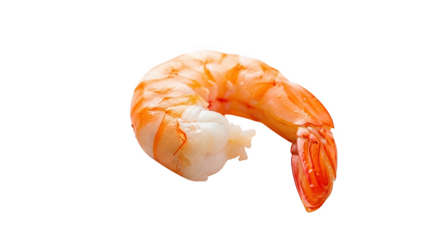 Single cooked shrimp delicious seafood appetizer culinary delicacy isolated gourmet food isolated on transparent background