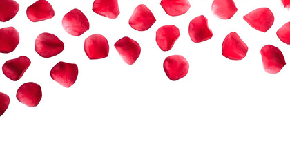 A beautiful arrangement of rose petals on a transparent background