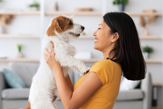 Emotional young asian woman petting her cute dog at home, loving korean lady playing with fluffy jack russel terrier in living room, closeup portrait. People and dogs, pets adoption concept