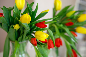 bouquet of yellow and red tulips in glass vase on white dresser with mirror, cozy home interior