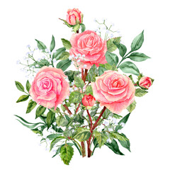 Fototapeta premium Lush Bouqet with roses and Gypsophila in watercolor technique