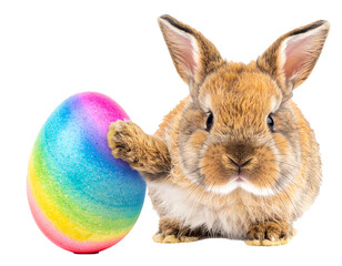 Easter bunny with colorful Easter eggs isolated on a white background &ndash; transparent cutout for compositing