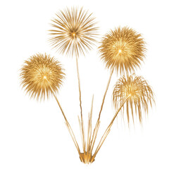 Obraz premium Golden Feather Dusters with Long Stems isolated on a transparent background