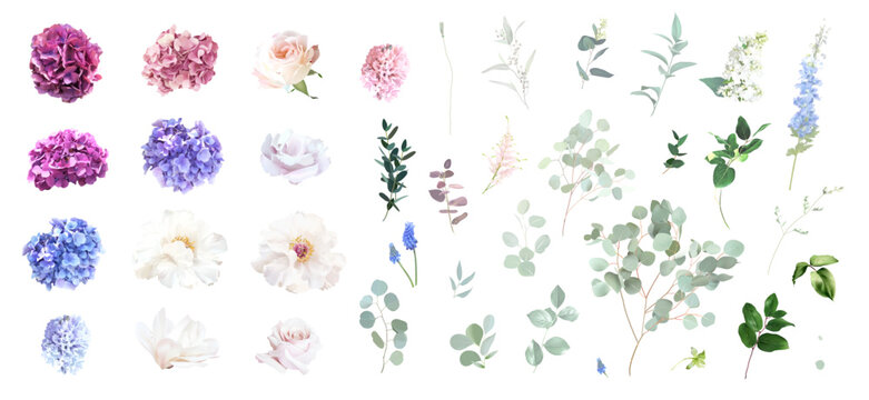 Pastel pink roses, purple, violet, blue hydrangea, peony, greenery and branches floral vector big set. Bold colored watercolor. Blooming garden. Spring florals. Elements are isolated and editable