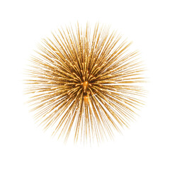 Fototapeta premium Golden feather whisk with intricate radiating strands isolated on a transparent background