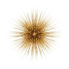 Obraz premium Golden feather-like structure with sparkling lights radiating outward isolated on a transparent background
