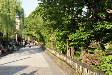 木々が並ぶ遊歩道で人々が散策する風景