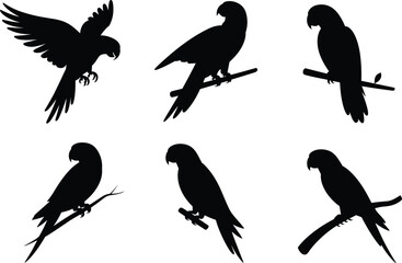Obraz premium Parrot silhouettes collection featuring tropical birds perched and flying in various poses black vector illustration isolated exotic wildlife icon design set