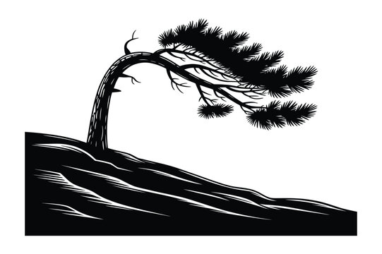 Bending Pine Tree Silhouette on Hillside