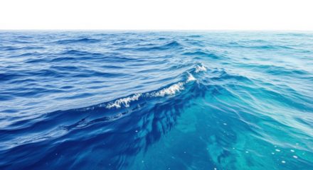 Sea surface water pattern with gentle waves isolated on transparent background