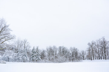 Obraz premium Snowy Winter Landscape Copy Space White Sky and Snowy Field
