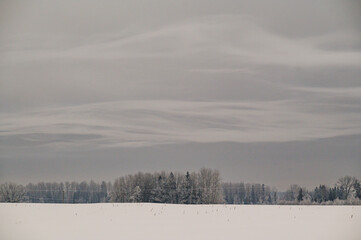 low cloud line on a winter day