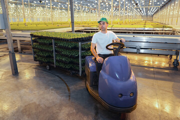 A young male worker in a cap drives a purple electric vehicle, pulling a cart of green seedlings through a large, brightly lit commercial greenhouse. Industrial agriculture modern farming concept