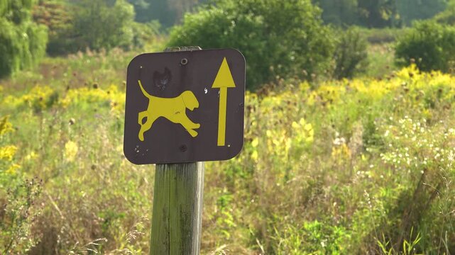 A close-up of a leash free dog sign with an arrow pointing ahead in a sunny field during the summer.