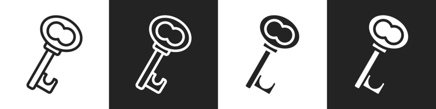 Key Line And Solid Icon In White And Black Background