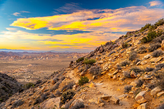 Mountain range view from Ryan Mountain Trail