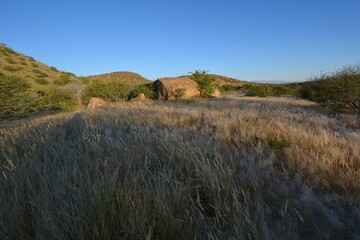 Obraz premium Landschaft im Erongo Gebirge im Abendlicht (Namibia)