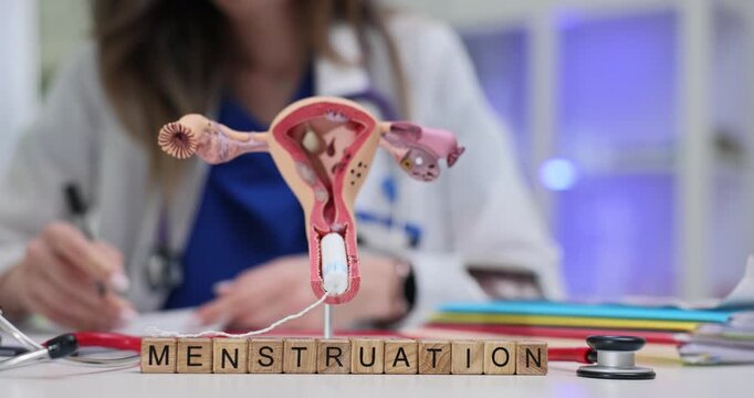 Word Menstruation on wood cubes and uterus anatomical model with tampon in hospital. Female gynecologist works with papers in clinic after appointment