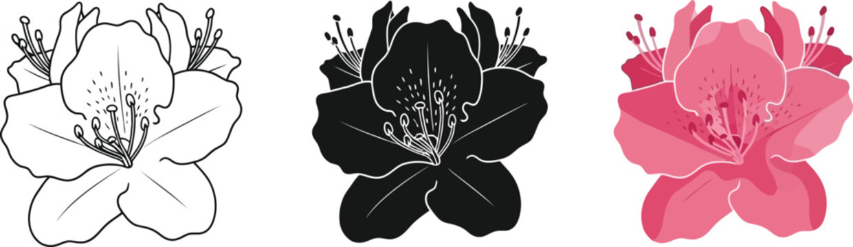 Collection of rhododendron flower icons in outline silhouette and color vector styles for botanical design isolated on white